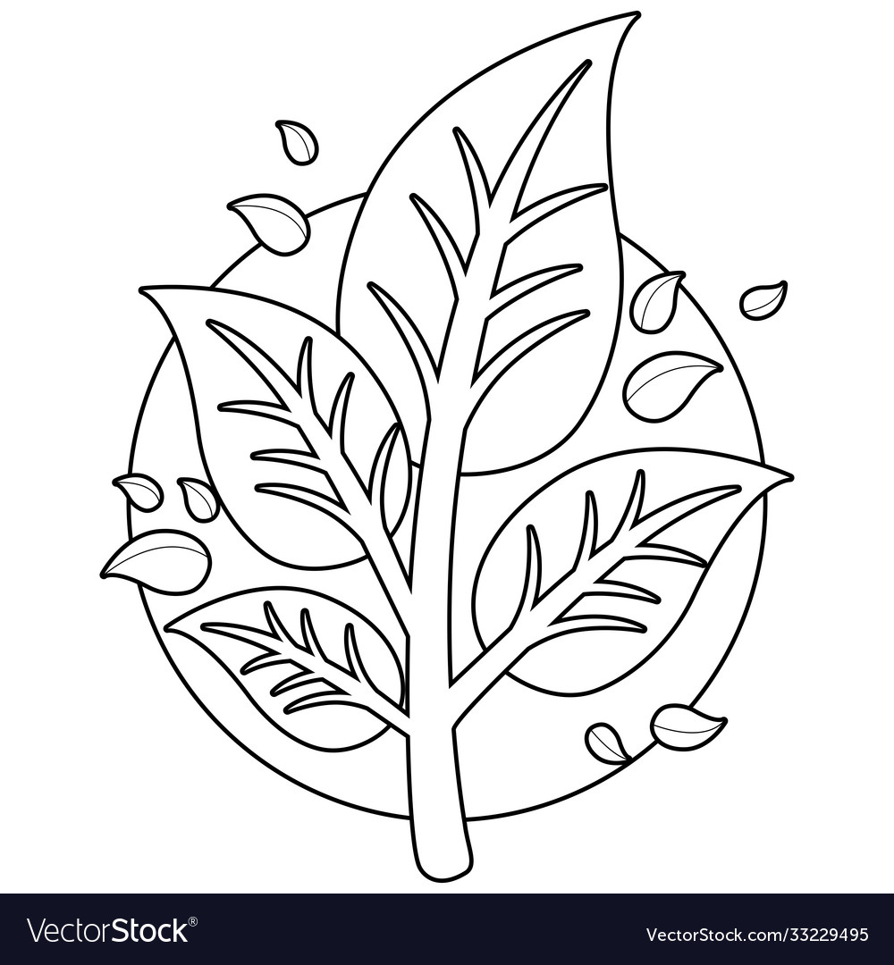 Tree branch with leaves coloring page royalty free vector