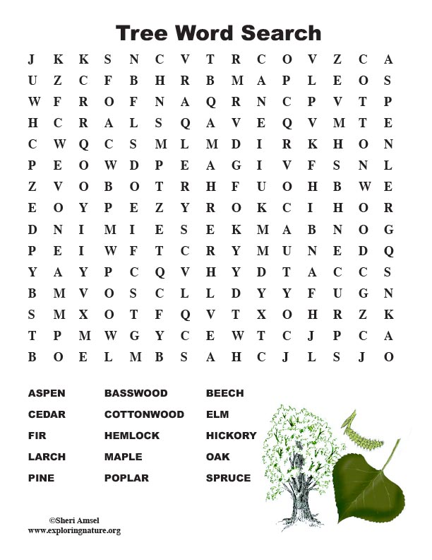 Tree word search middle