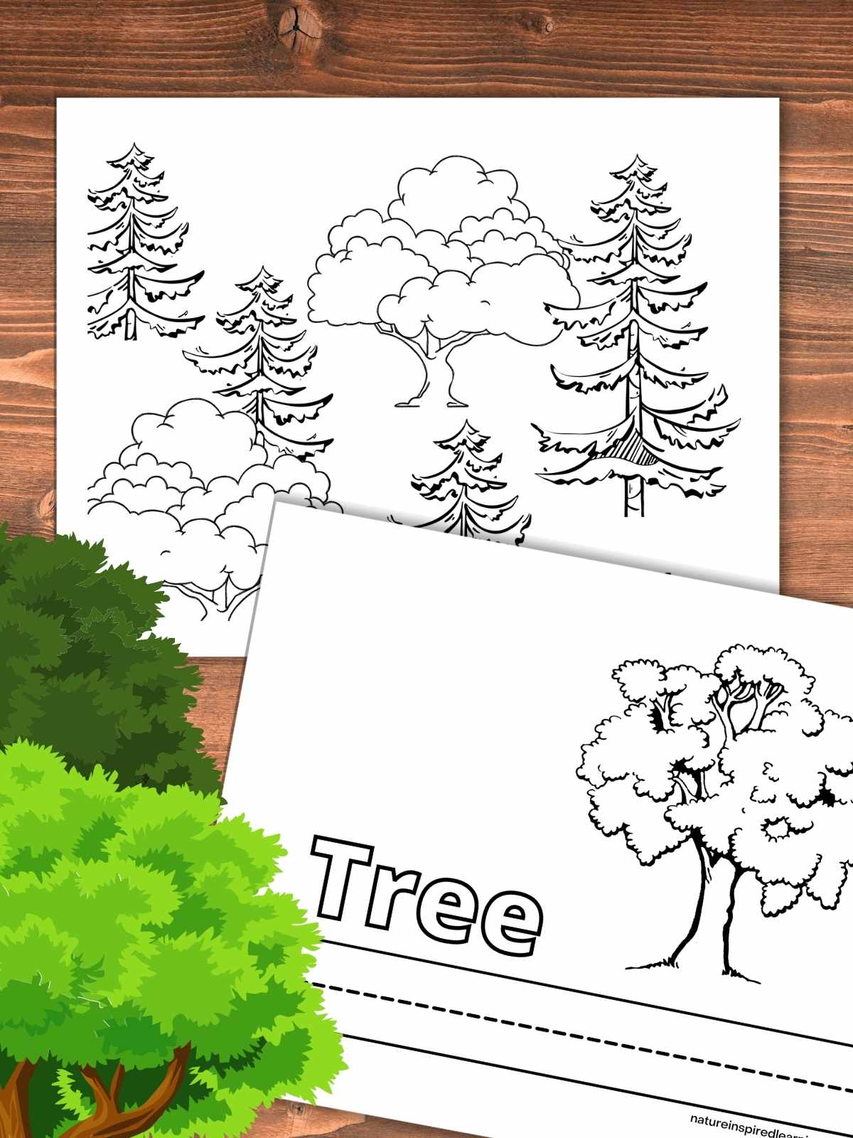 Tree coloring pages