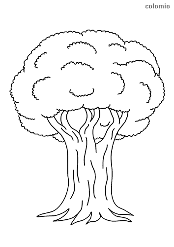 Trees coloring pages free printable tree coloring sheets