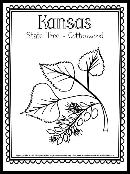 Kansas state tree coloring page the cottonwood free printable â the art kit