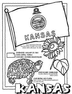 Kansas coloring pages ideas coloring pages kansas day flag coloring pages