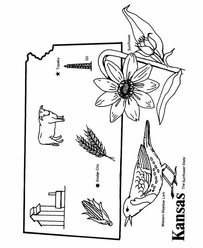 Printable kansas day coloring pages pdf