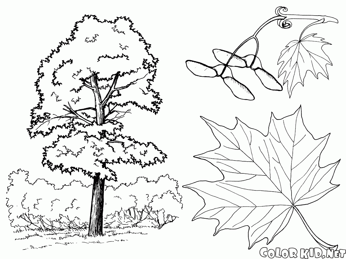 Coloring page