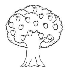 Top tree coloring pages for your little ones