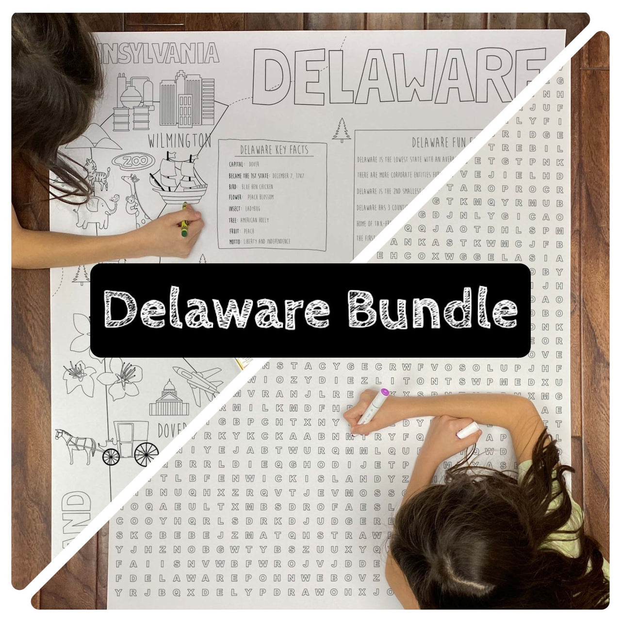 Delaware state bundle coloring and word search â