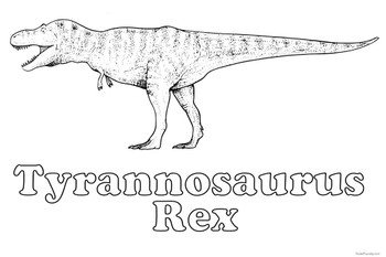 Laminated tyrannosaurus rex dinosaur t rex coloring poster for kids family activity science color your own poster dry erase sign x