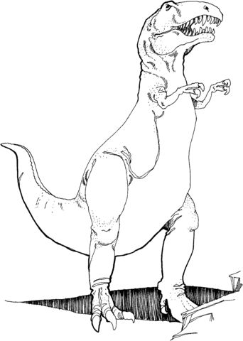 Tyrannosaurus t rex coloring page dinosaur coloring pages coloring pictures dragon coloring page