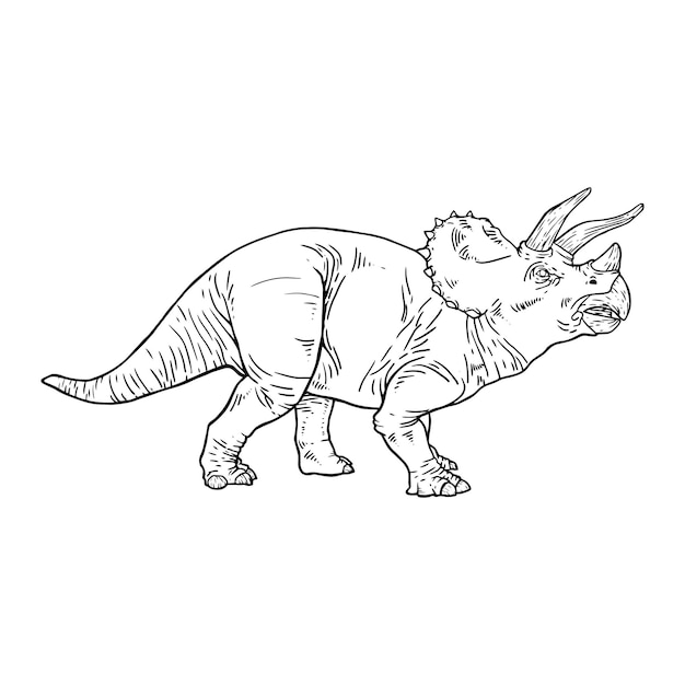 Premium vector triceratops line art dinosaur coloring page triceratops black and white