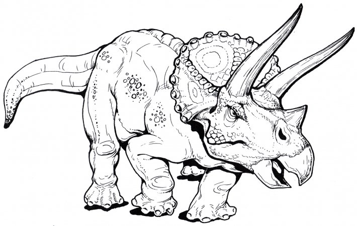 Triceratops coloring page by coloringpager on