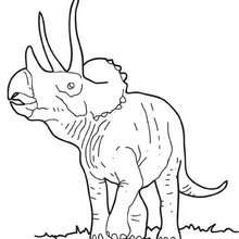 Triceratops coloring pages