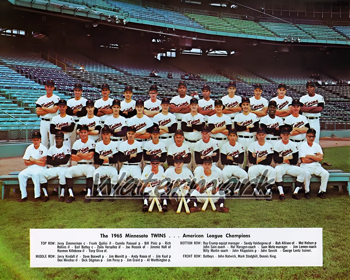 Mlb amerin league champs minnesota twins color team picture x photo