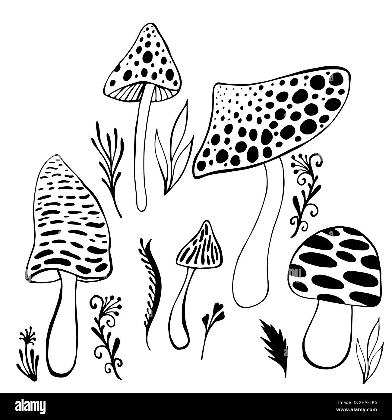 Set with doodle psychedelic artistic abstract trippy mushrooms isolated background coloring page cartoon hallucinogenic vector fantasy mushrooms stock vector image art