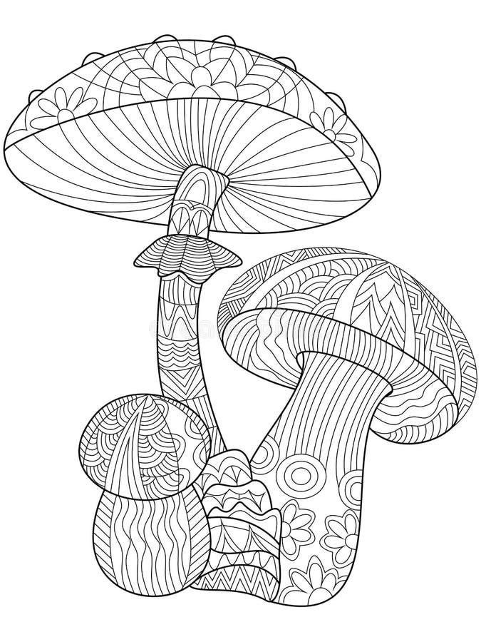 Adult coloring mushroom stock illustrations â adult coloring mushroom stock illustrations vectors clipart