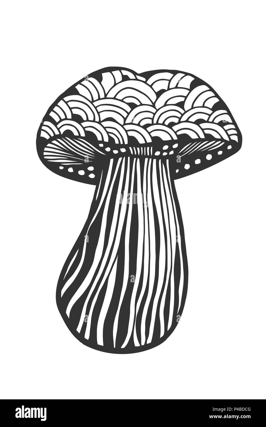 Hand drawn magic mushroom for adult anti stress coloring page with high details isolated on white background illustration in zentangle style vector stock vector image art