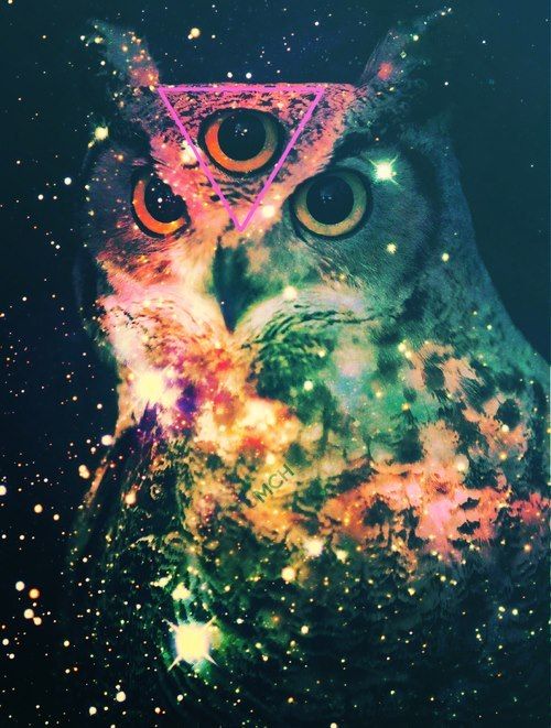 Psychedelic owl ideas in owl psychedelic owl art