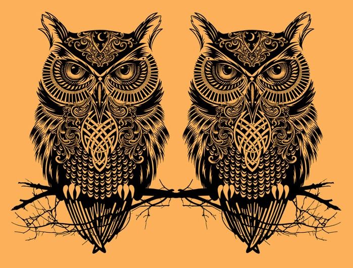 Psychedelic trippy owl pictures owl pictures owl psychedelic trippy