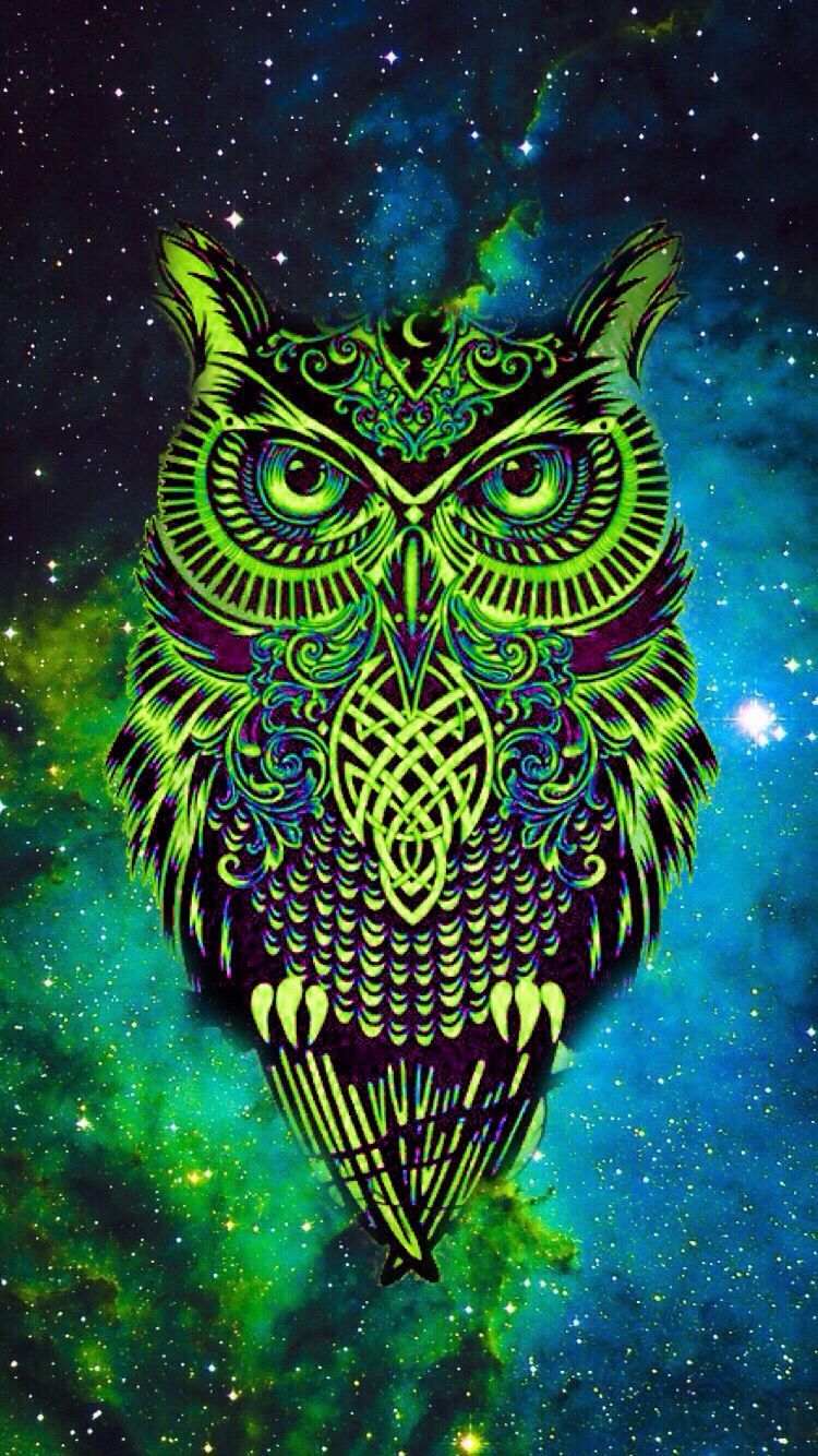 Trippy owl wallpapers