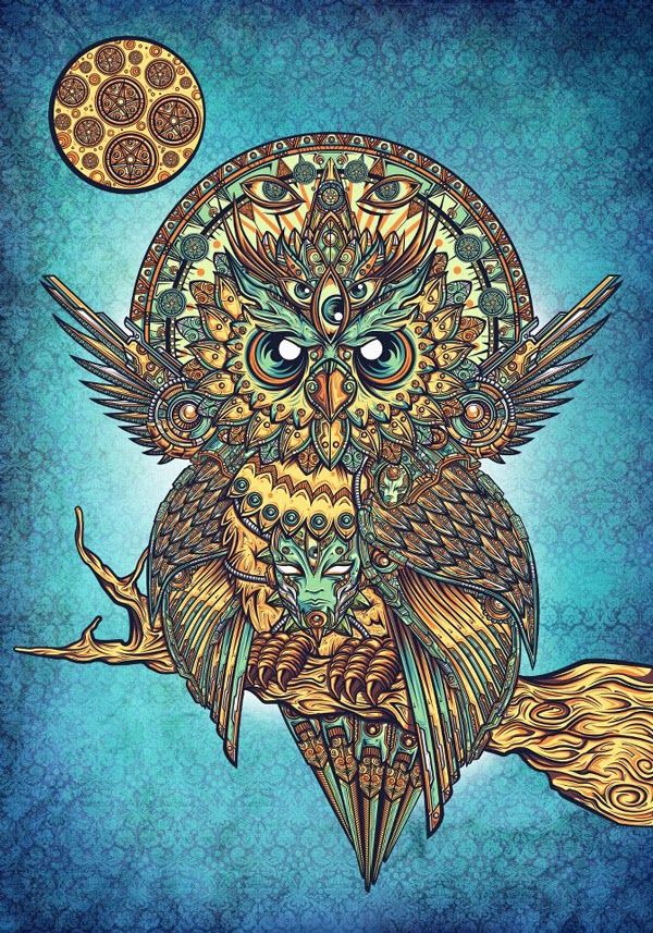 Psychedelic trippy owl pictures owl pictures owl psychedelic art