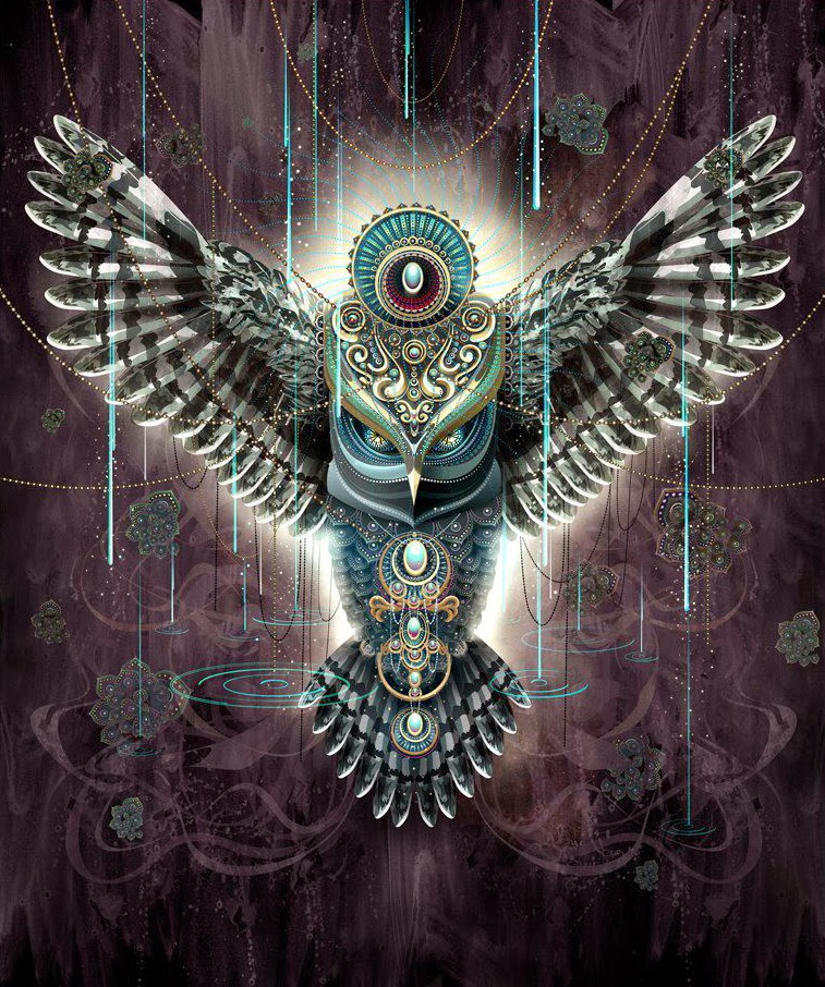 Psyamb psychedelic trippy owl pictures