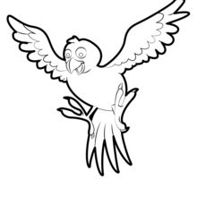 Bird coloring pages