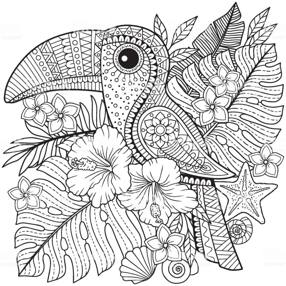 Coloring book for adults toucan among tropical leaves and flowers mandala kleurplaten kleurplaten kleurboek