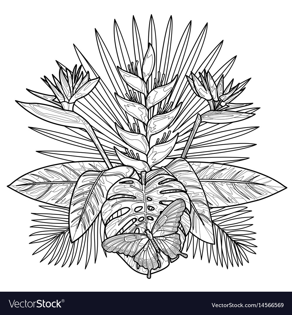 Tropical bouquet coloring page royalty free vector image