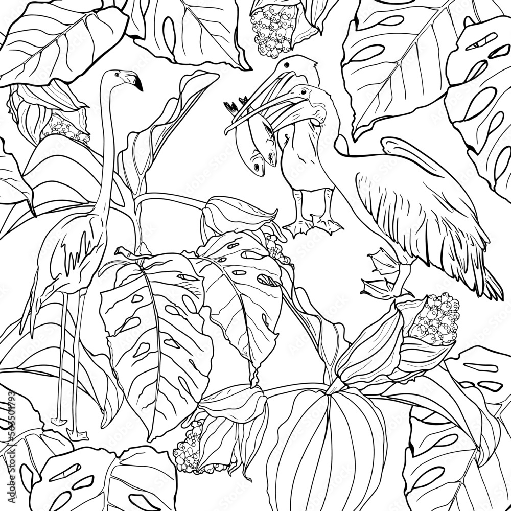 Tropical wild birds and plants tropical garden collection coloring page coloring book for adult and older children outline vector illustration adult anti