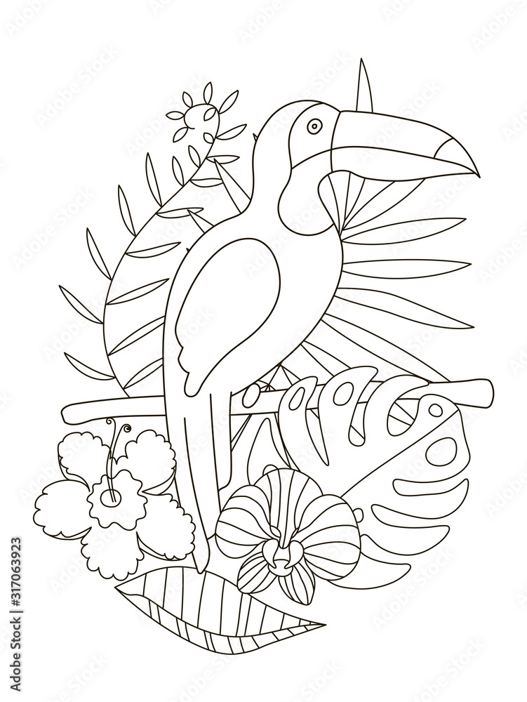 Hand drawing coloring pages for children and adults a beautiful coloring book in a linear style for creative creativity antistress coloring book with toucan tropical flowers orchid monstera palm vector