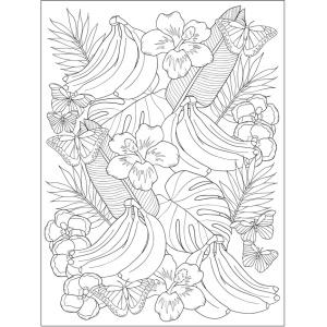 Creative haven truly tropical coloring book adult coloring books nature mazurkiewicz jessica books