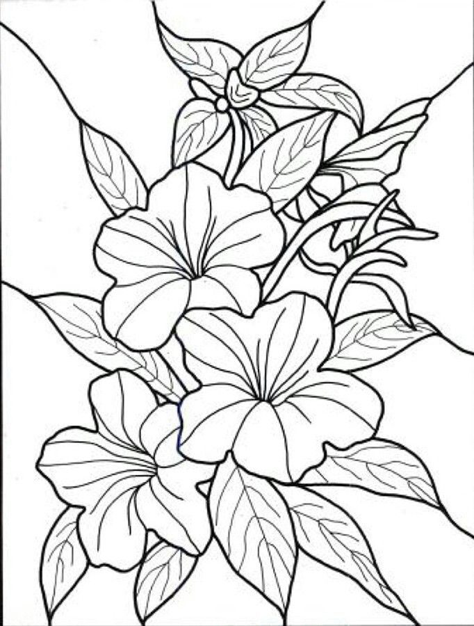 Tropical flowers pãginas para colorear de flores libro de colores libros para colorear