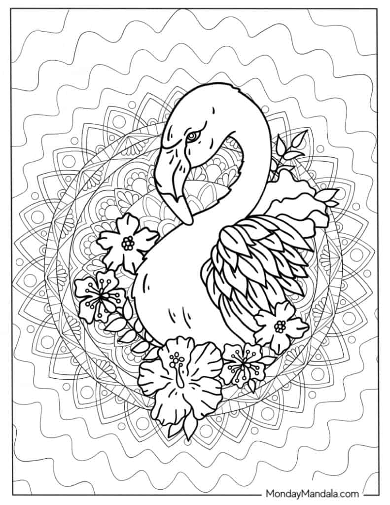 Flamingo coloring pages free pdf printables