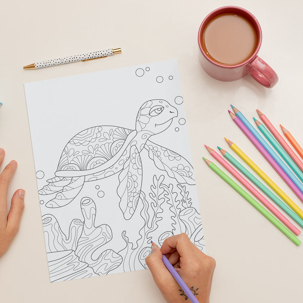 Tropical coloring book