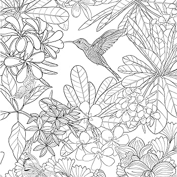 Tropical paradise adult coloring book stress