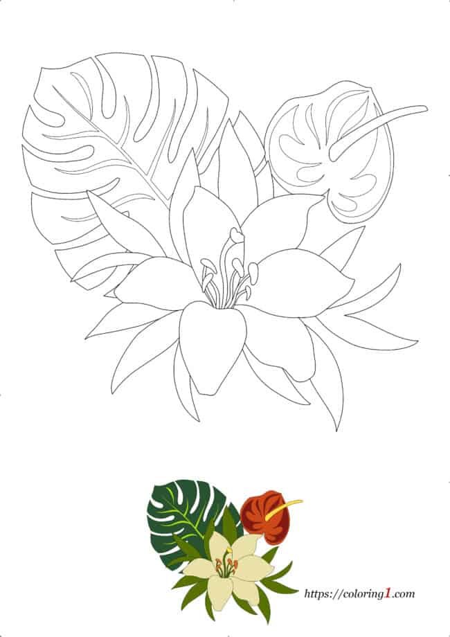 Flower coloring pages