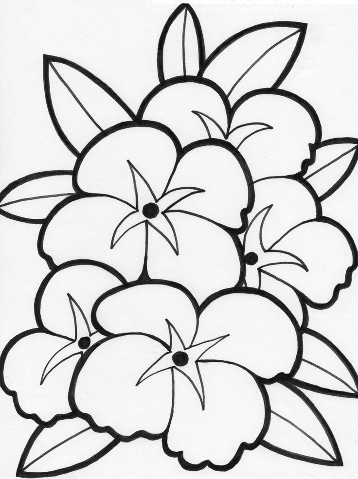 Flowers coloring pages free printable download coloring pages hub printable flower coloring pages mandala coloring pages flower coloring sheets