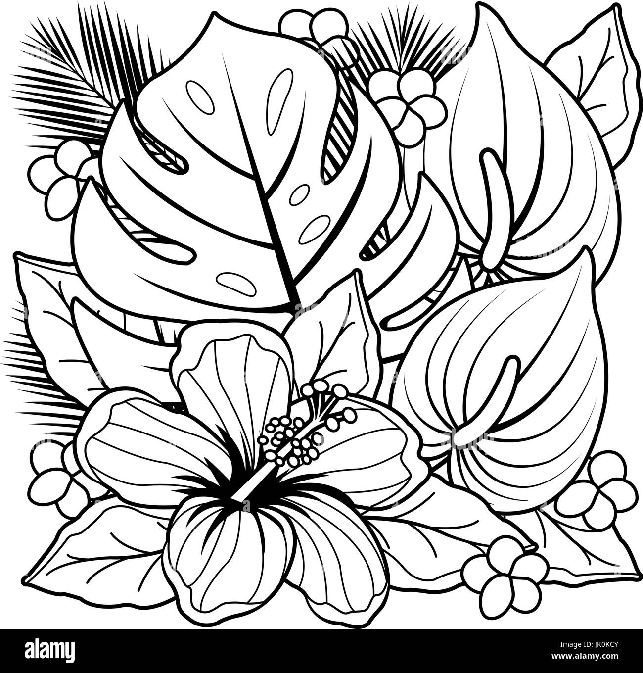 Tropical plants and hibiscus flowers black and white coloring book page stock vector image art