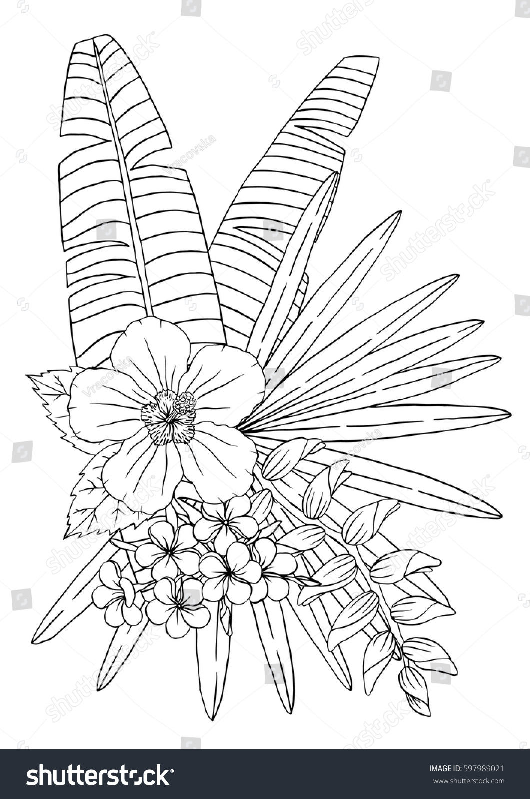 Tropical coloring book page flowers palm stock vector royalty free