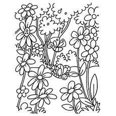 Top free printable flowers coloring pages online