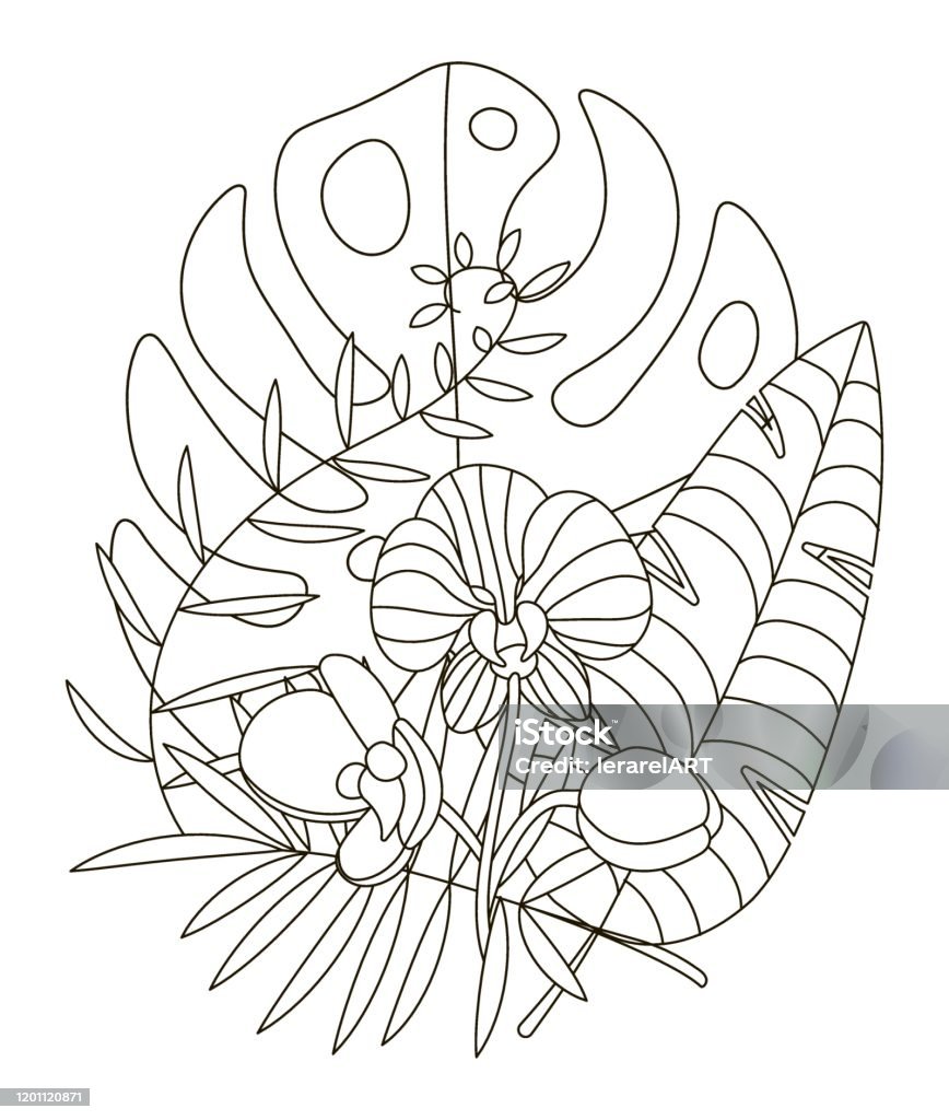 Hand drawing coloring pages for children and adults linear style flower coloring book for creative creativity antistress coloring book with tropical flowers protea orchid monstera palm stock illustration