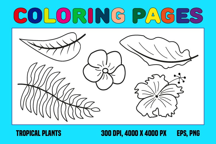 Tropical plants coloring pages