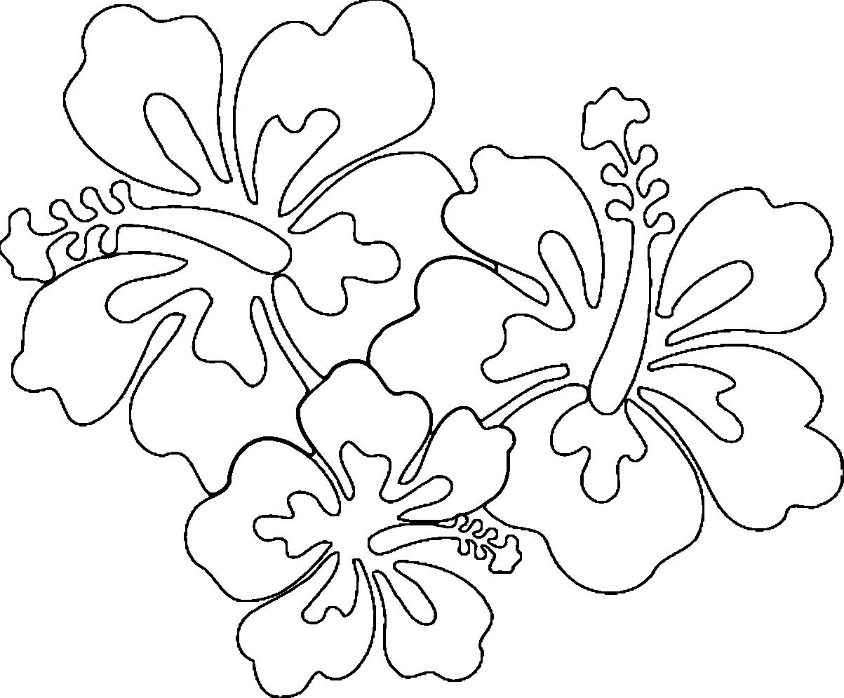 Coloring pages hibiscus plant coloring pages