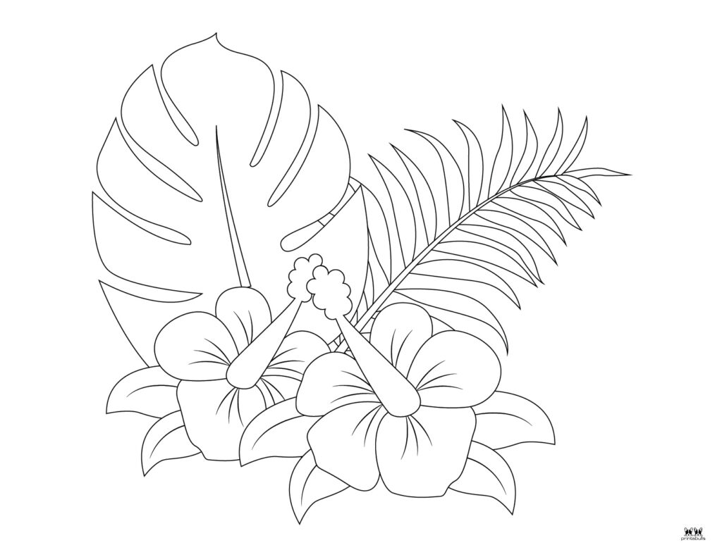 Flower coloring pages