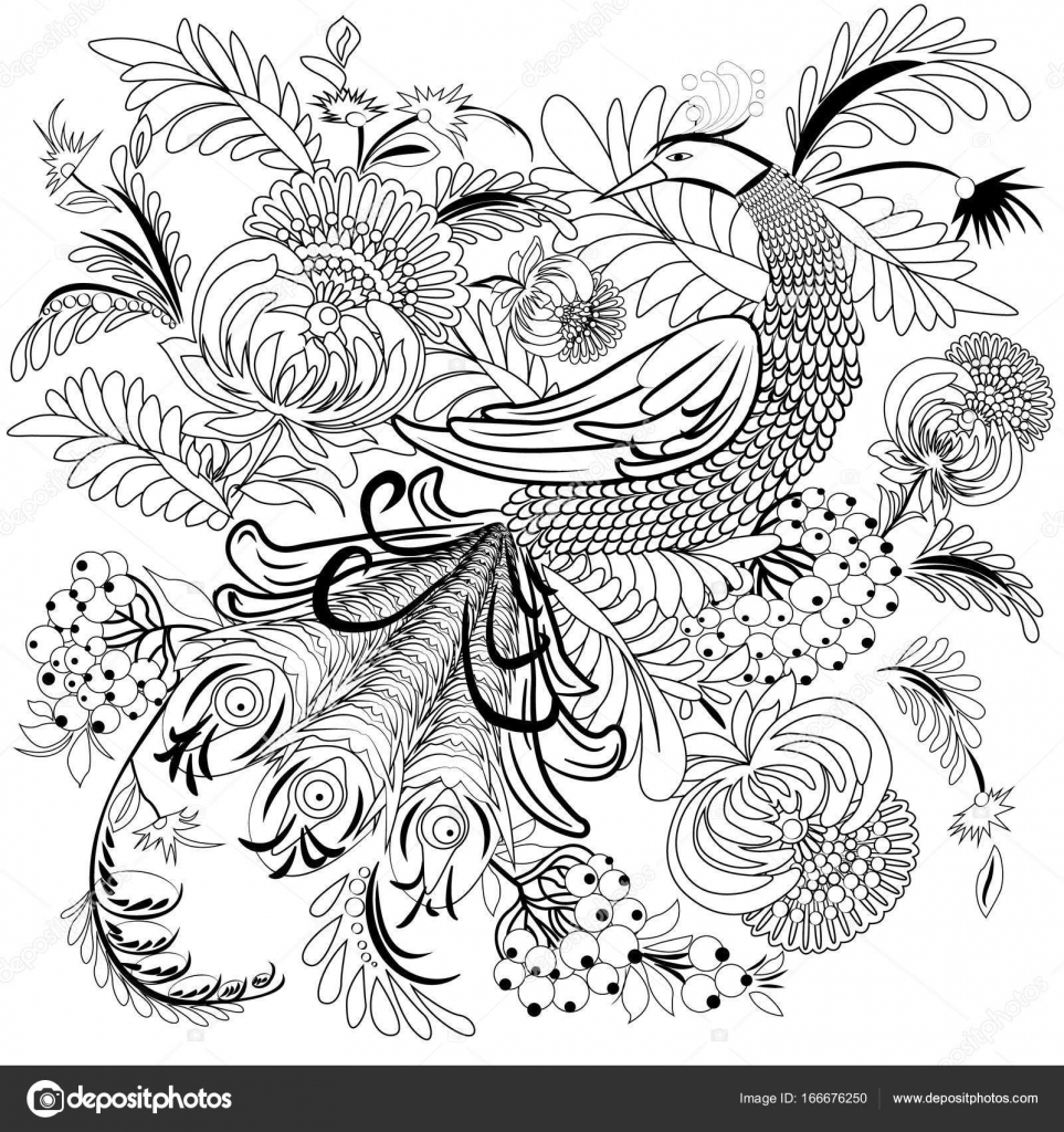 Tropical wild bird and flowers coloring book for adult and older children coloring page outline vector illustration stock vector by crazyphotoshoperyandexua