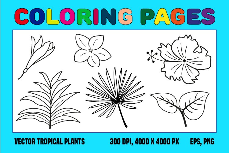 Vector tropical plants coloring pages