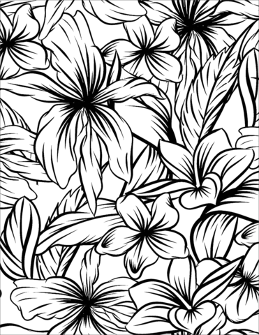 Hibiscus coloring page free printable coloring pages