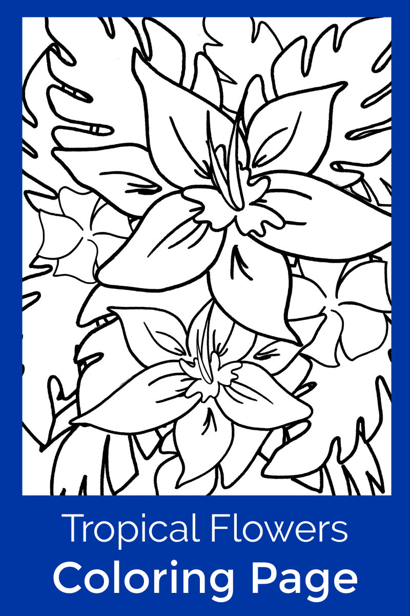 Hawaiian tropical flowers coloring page