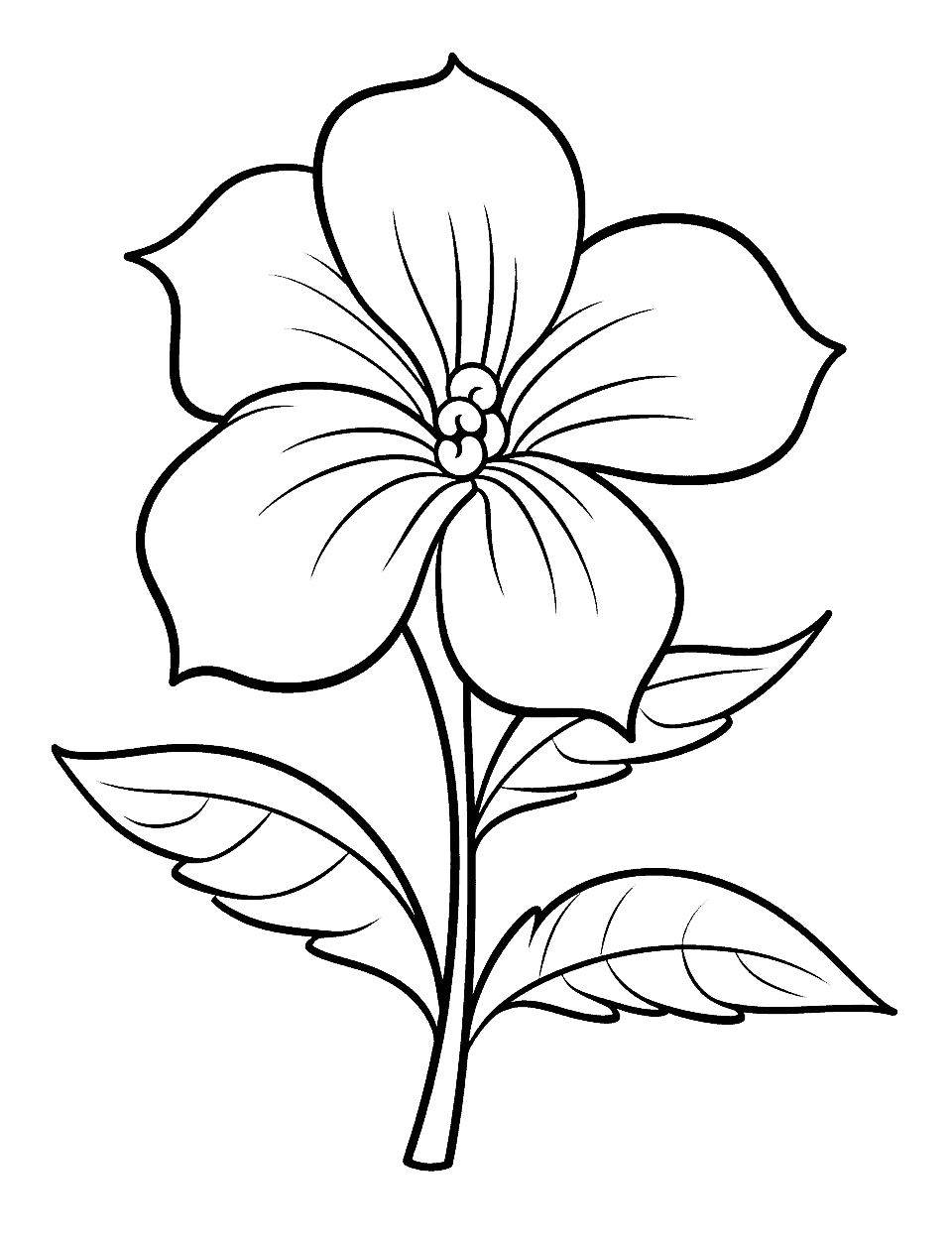 Flower coloring pages free printable sheets