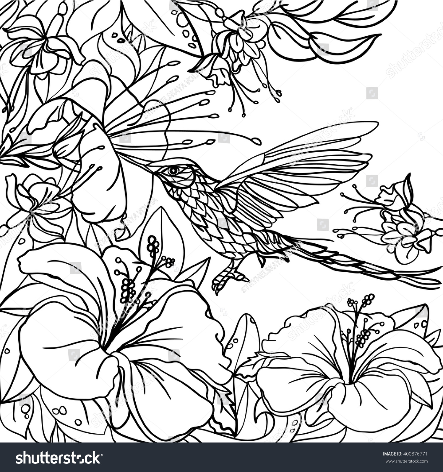 Coloring pages tropical birds flowers leaves stock vector royalty free