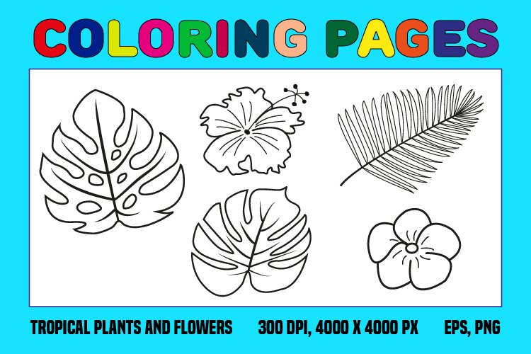 Tropical plants and flowers coloring pages